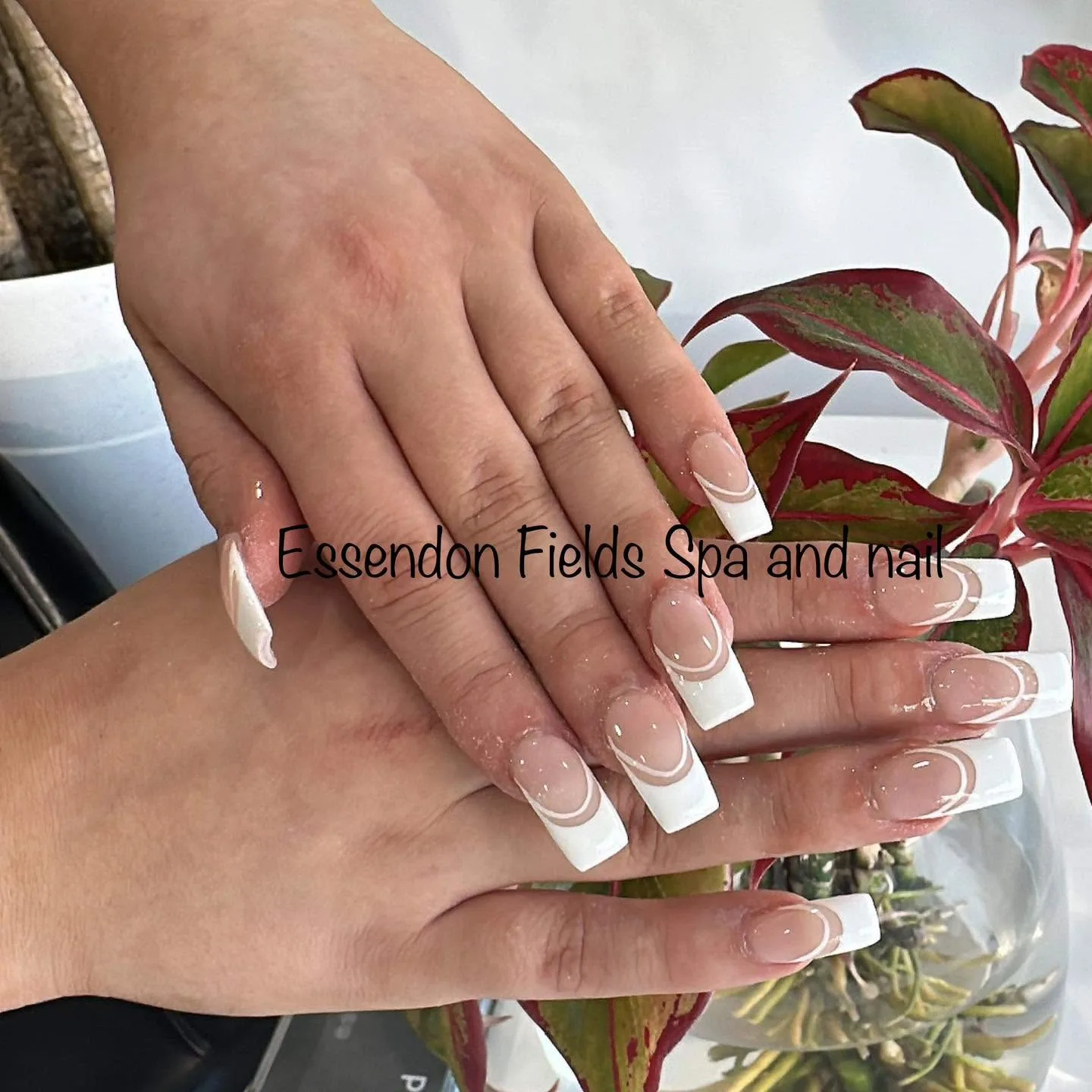 Long square French nails with white tips and subtle nude swirl, held by a red-veined plant