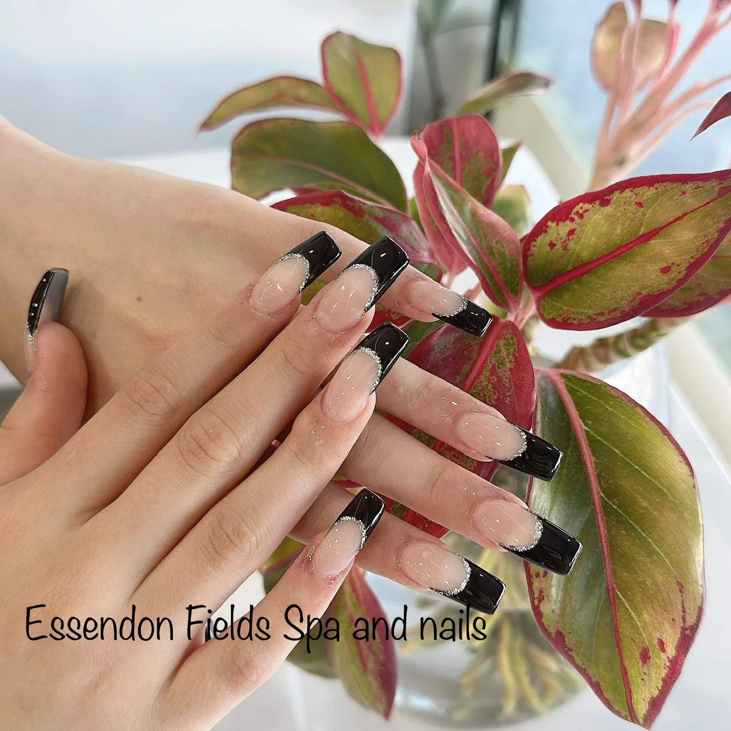 Long coffin nails in black French tips with silver-glitter cuticle line, over red and green foliage